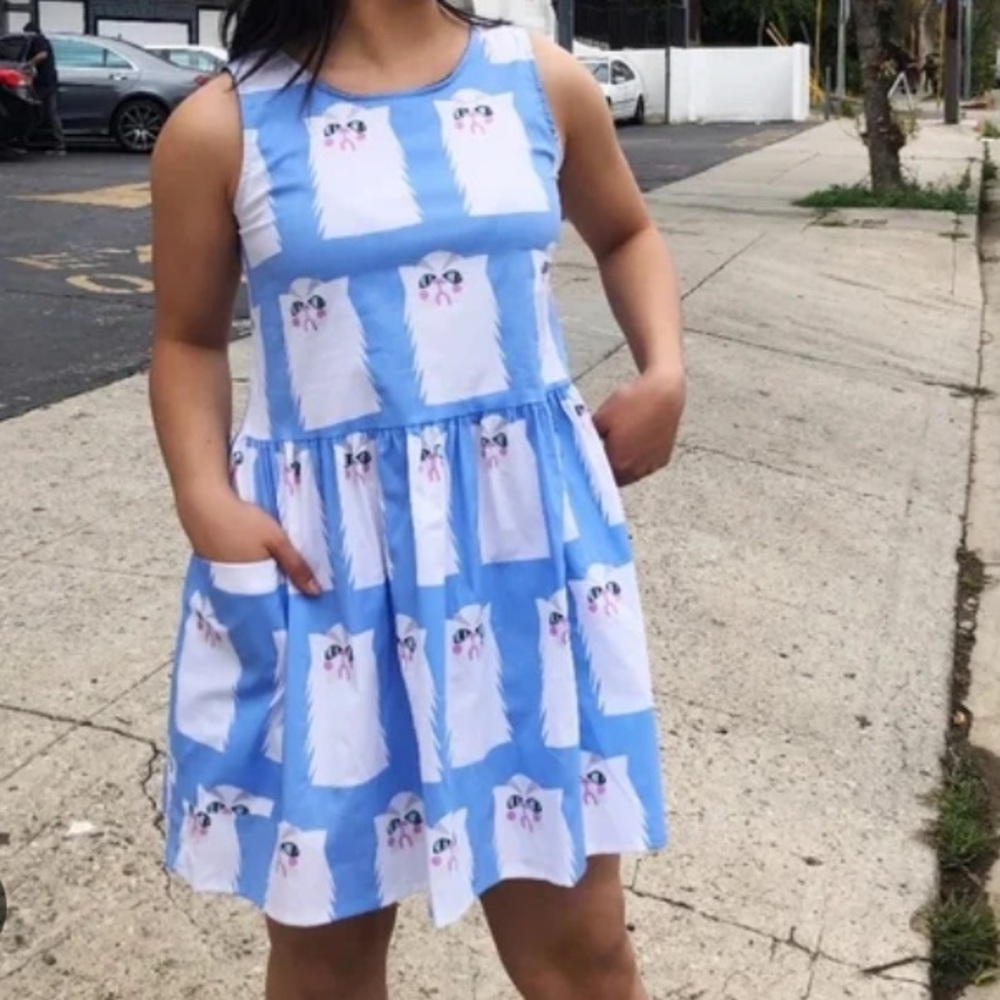 Nooworks Grumpy Cat Big Pocket Dress